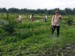IMG-20260717-WA0012(1)